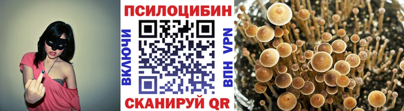 Галлюциногенные грибы GOLDEN TEACHER  Ахтубинск 